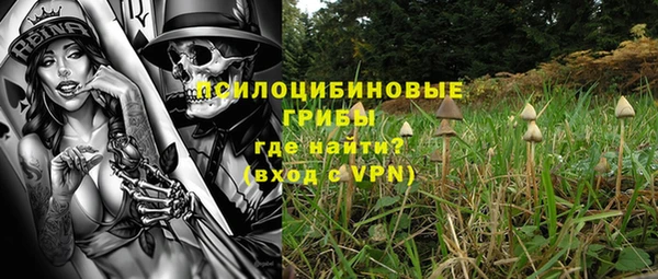 метадон Касимов