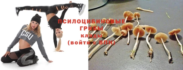 кокаин Каменка