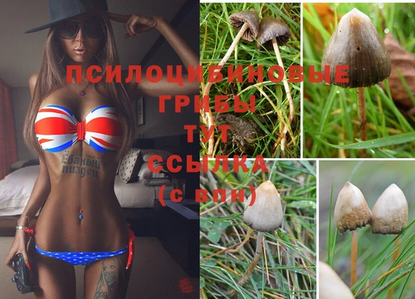 кокаин Каменка