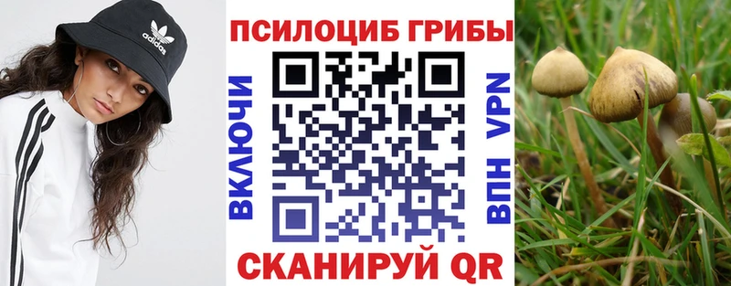 Псилоцибиновые грибы Psilocybe  Белоозёрский 